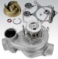 Engine Water Pump