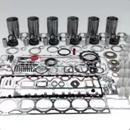 Rebuild Kit
