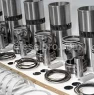 Engine Overhaul Kit