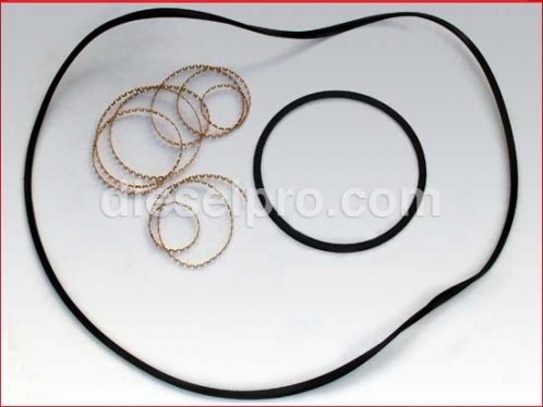 Reverse plate seal kit for Allison M and MH