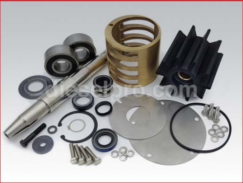 Repair Kit - Major Service for Caterpillar C32 Sea Water Pumps