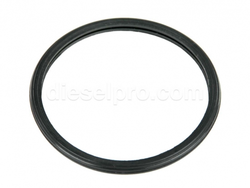 Cummins Thermostat Seal