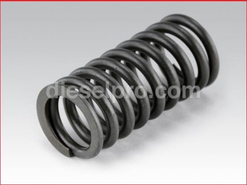 Cummins Valve Spring