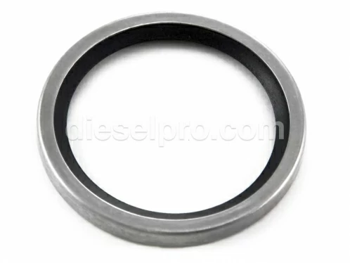 Thermostat Seal