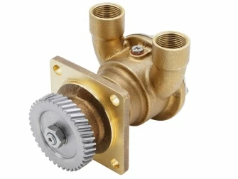 Sea Water Pump for Caterpillar C1.5 & C2.2 Marine Engines, 4255421