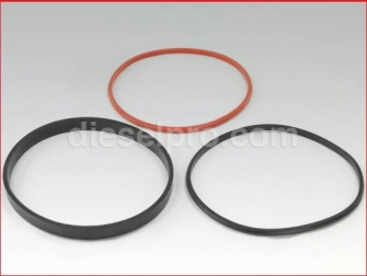 Cummins,Cylinder Liner Seal Kit,KTA38 and KTA50 engines,SEALS2157,Conjunto de Sello para Camisa de Cilindro