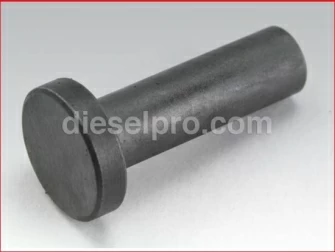 Cummins,Valve Lifter,4B,4BT,6B,6BT6C,6CT,6CTA engines,3931623,Elevador de valvula