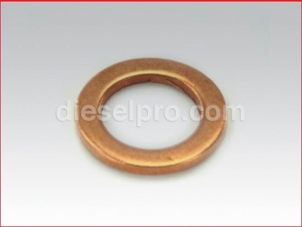 Detroit Diesel,Washer, Fuel Pipe Connector,8925644,Arandela conectora,Tubo de combustible 