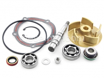 Detroit Diesel engine,Repair kit,Fresh water pump,5197509,Kit de reparación,Bomba de agua dulce