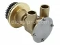 Sea Water Pump for Caterpillar C4.4 Marine Engines & Perkins M92B, 4255412