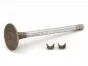 Cummins Exhaust Valve Kit for KTA & QSK engines, 3803528