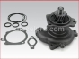 Cummins,Fresh Water Pump,M11,ISM,3800745,Bomba Agua Dulce