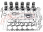 Cummins Rebuild Kit for QSL - 2 piece piston, IFK9944-QSL