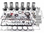 Cummins,Rebuild kit,1 piece pistons,L 10,M 11,ISM industrial engines,IFK5161-M11,Conjunto de Reparacion,Motores industriales