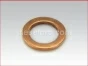 Detroit Diesel,Washer, Fuel Pipe Connector,8925644,Arandela conectora,Tubo de combustible 