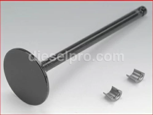 Cummins Conjunto de valvula de escape 