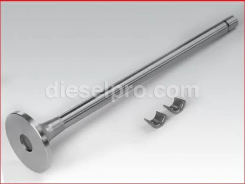 Cummins Válvula de admisión 