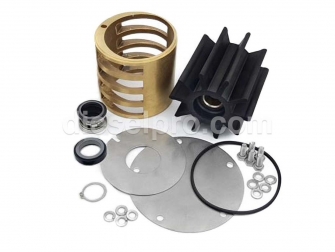 Repair Kit - Minor Service for Caterpillar C32 Sea Water Pumps, 3047615