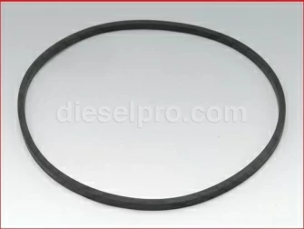 Detroit Diesel seal ring for fresh water pump Sello para la bomba de agua dulce 5103544