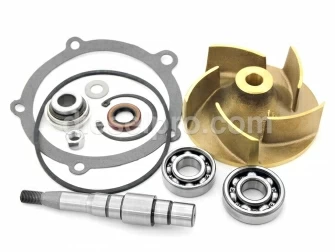 Detroit Diesel engine,Repair kit,Fresh water pump,5197158,Kit de reparacion,Bomba de agua dulce