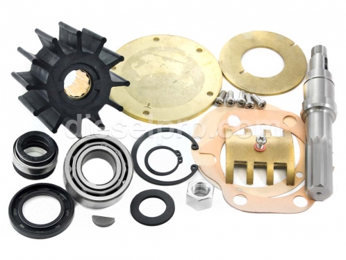 Detroit Diesel Kit di riparazione della pompa dell'acqua grezza 6V53, 6V71, 6-71, 6V92