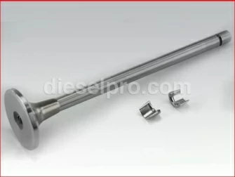 Cummins Exhaust Valve,L10,3801357,Valvula de escape