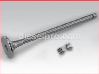 Cummins,Intake Valve,L10,3801356,Valvula de admision