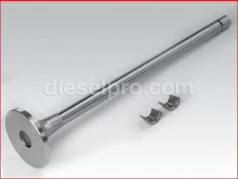 Cummins,Intake Valve,L10,M11 engines,3800638,Válvula de admisión