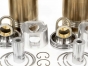 Rebuilt kit for Caterpillar 3406, IFK6N4126-3406