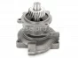 Cummins Fresh Water Pump for ISM and QSM Engines, 3418017