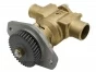 Sea Water Pump For Cummins  Engine c Series, 3912139