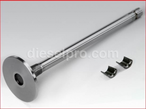 Cummins Intake Valve Kit