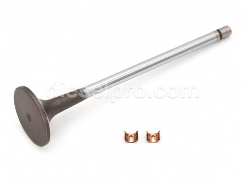 Cummins Kit de válvula de admissão para motores QSK19