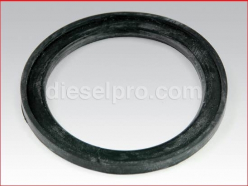 Cummins Thermostat Seal