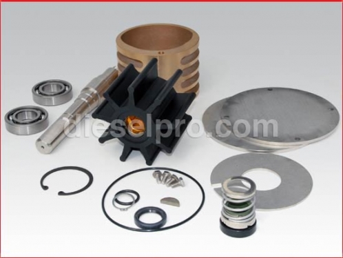 Raw water pump repair kit for Detroit Diesel with shaft