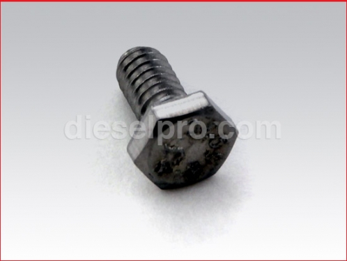 Cover screw