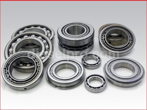 Bearing kit for Twin Disc MG509 marine transmission - Shallow Case