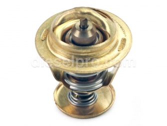 Cummins,Thermostat,6C,6CT,3928639,Termostato