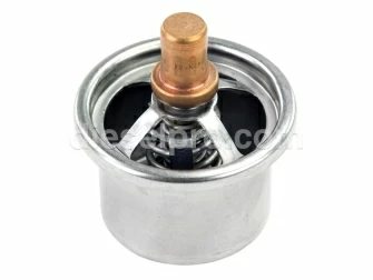 Cummins,Thermosta,L10,M11,N14,3076489,Termostato