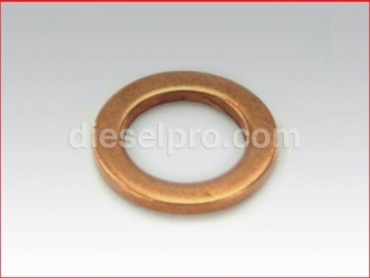 Detroit Diesel,Washer, Fuel Pipe Connector,8925644,Arandela conectora,Tubo de combustible 
