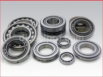 Kit de rolamentos para transmissão marítima de disco duplo MG509