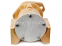 Cummins Marine,Sea water Pump,C1100,3349392,QSM11,bomba agua salada