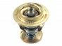 Cummins,Thermostat,6C,6CT,3928639,Termostato
