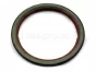 Detroit Diesel,Series 53,Seal Crankshaft,Rear Single Lip Standard,5196852,Sello Ciguenal,Trasero,Labio sobre medida