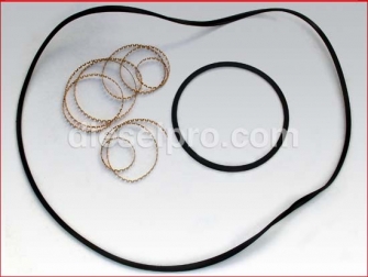 Allison marine gear M and MH, Seal Kit plate reverse,5192289, Kit de sellos para disco o plato marcha atras