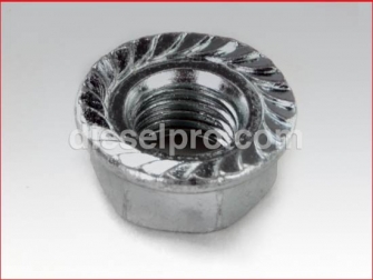 Cummins,Heavy Hexagon Nut,203131,Tuerca hexagonal pesada