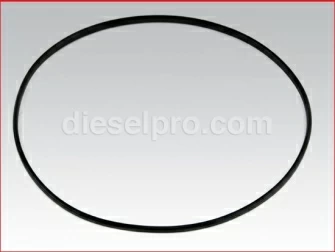 Cummins,Liner Seal,Rectangular,3907177,Sello
