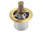 Cummins,Thermostat,6C,6CT,6CTA,3913028,Termostato
