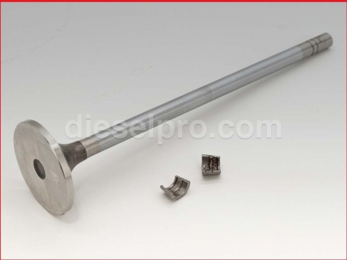 Intake Valve for Caterpillar 3406E