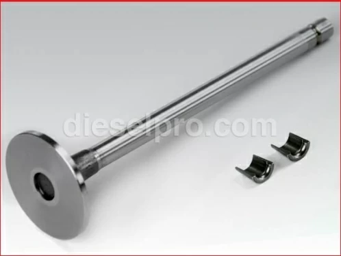 Cummins Intake Valve Kit